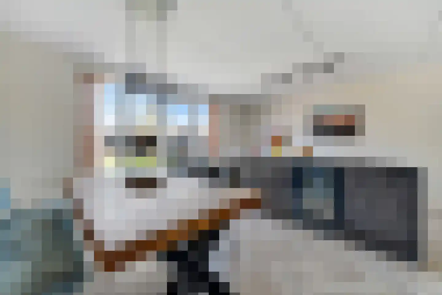 Ervenweg 14 Hardenberg thumbnail 16