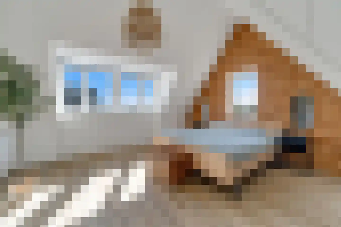 Ervenweg 14 Hardenberg thumbnail 27