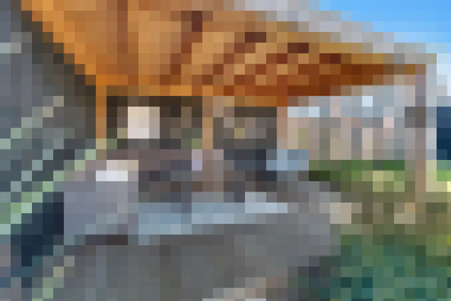 Ervenweg 14 Hardenberg thumbnail 35
