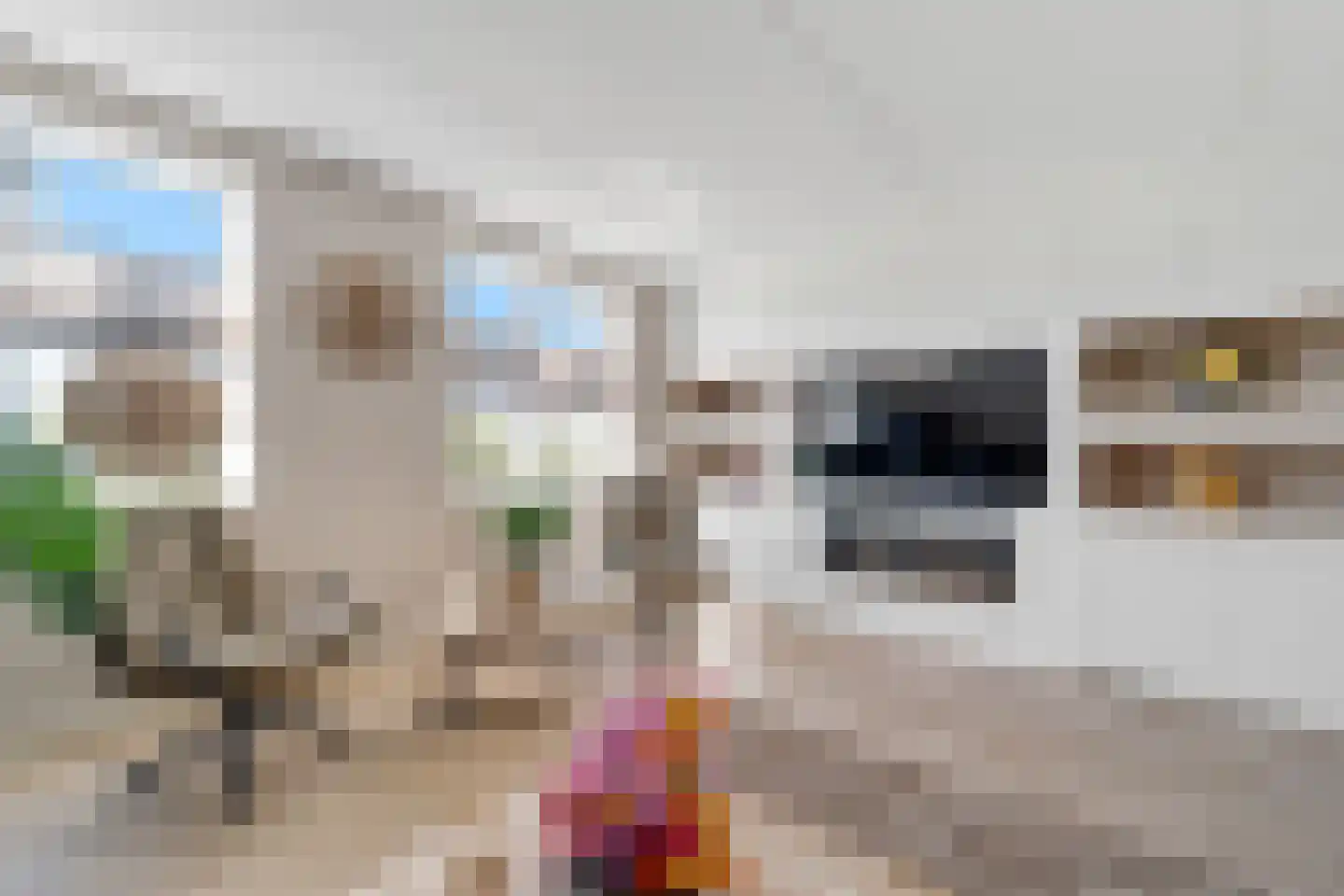 Ervenweg 14 Hardenberg thumbnail 9