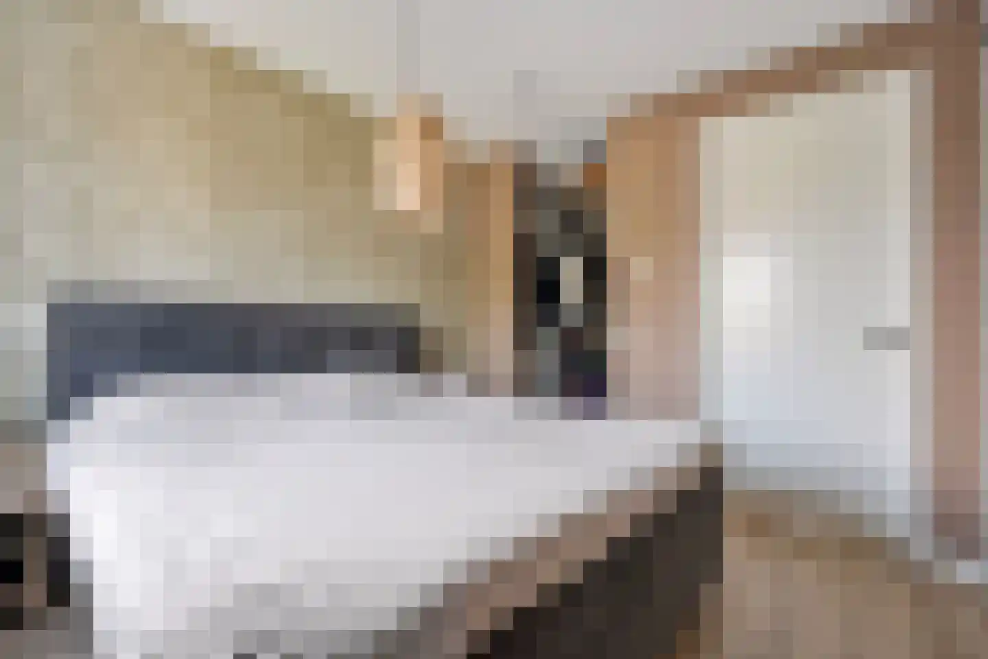 Ervenweg 20 Hardenberg thumbnail 23