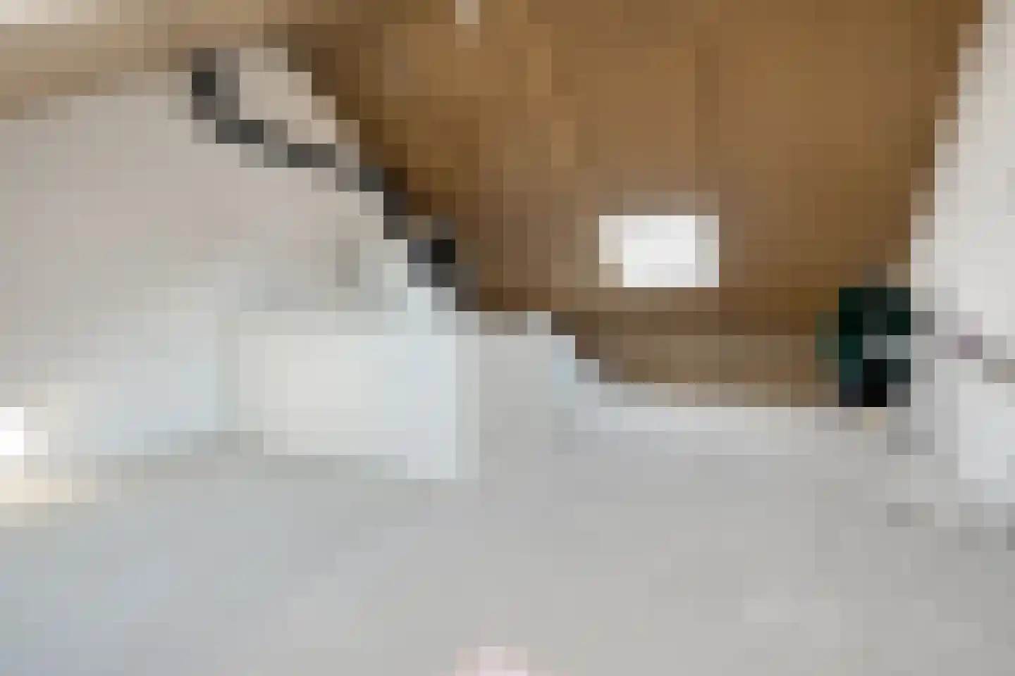Ervenweg 20 Hardenberg thumbnail 32