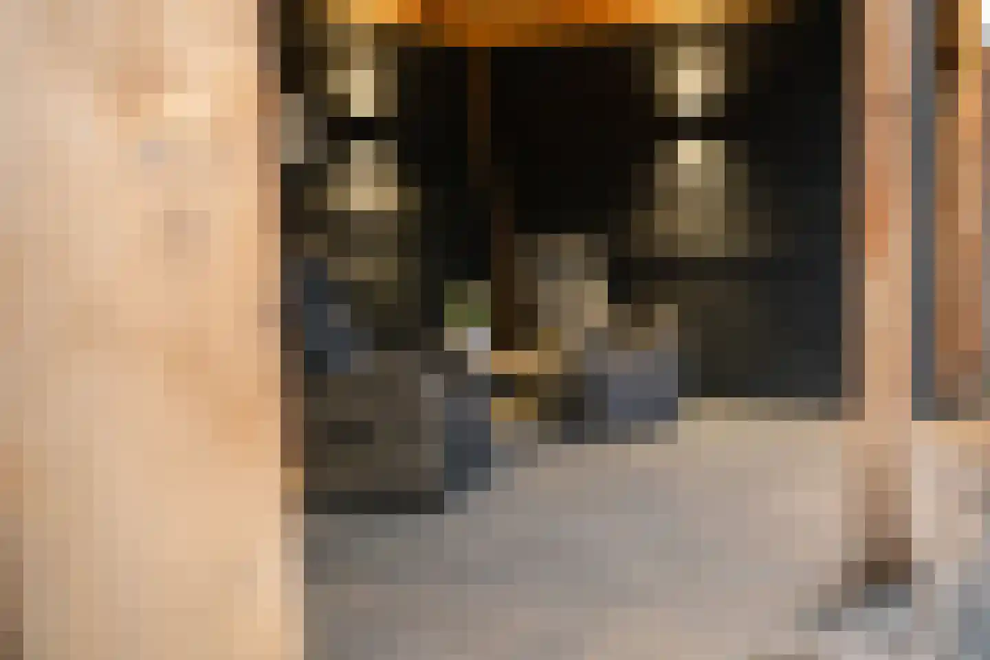 Ervenweg 20 Hardenberg thumbnail 43