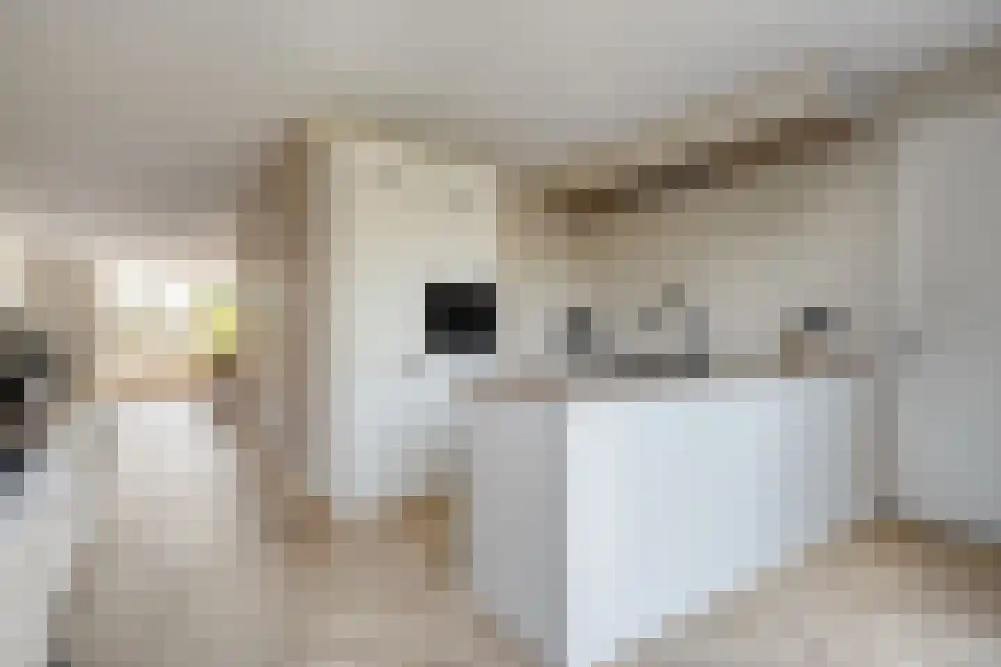Ervenweg 20 Hardenberg thumbnail 5