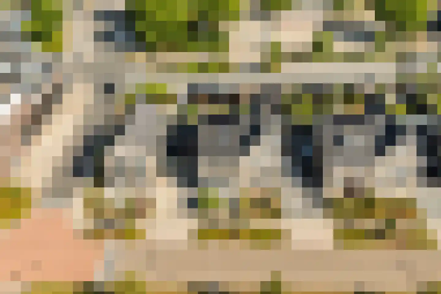 Ervenweg 20 Hardenberg thumbnail 7