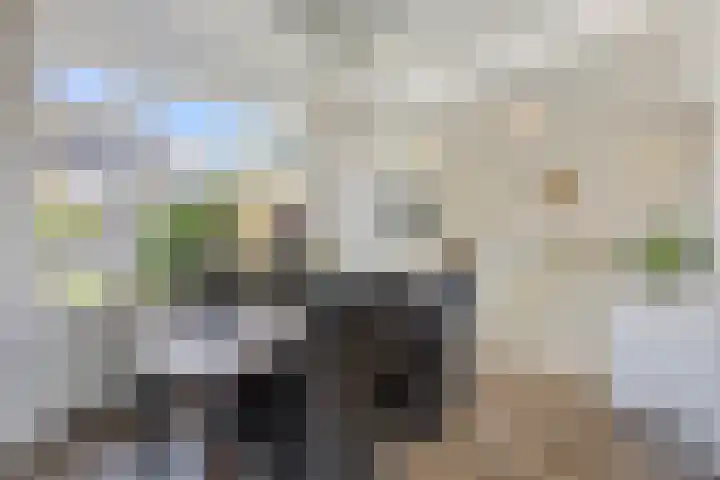 Ervenweg 9 Maasbracht thumbnail 12