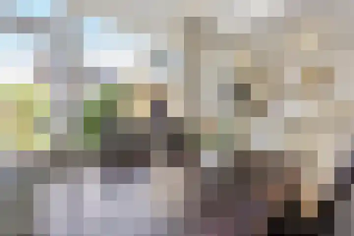 Ervenweg 9 Maasbracht thumbnail 13