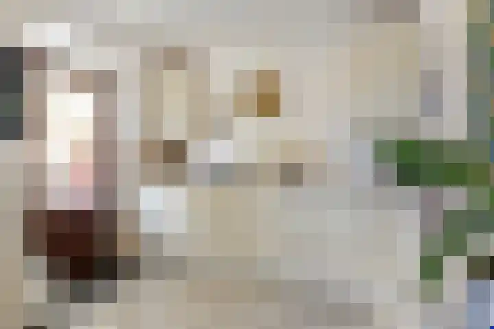 Ervenweg 9 Maasbracht thumbnail 15