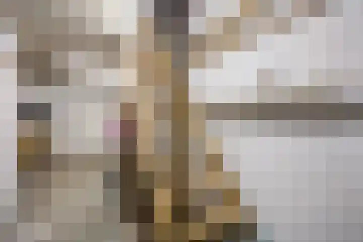 Ervenweg 9 Maasbracht thumbnail 17
