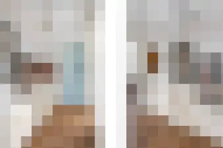 Ervenweg 9 Maasbracht thumbnail 19