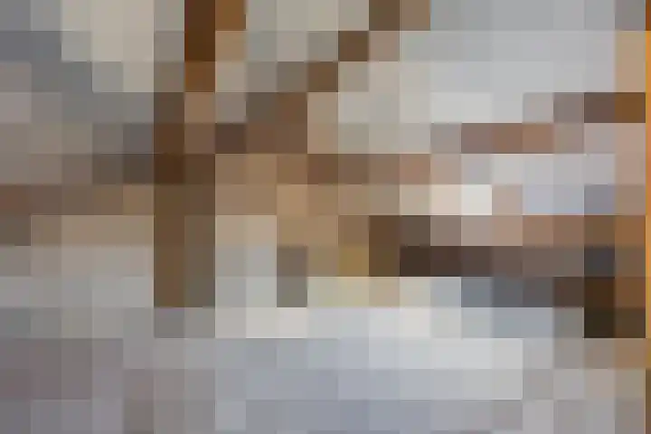 Ervenweg 9 Maasbracht thumbnail 27