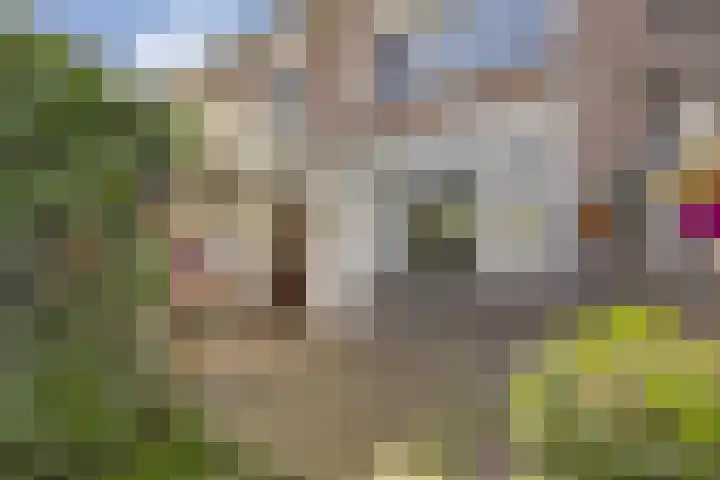 Ervenweg 9 Maasbracht thumbnail 30