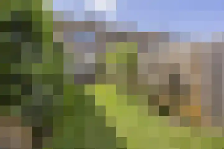 Ervenweg 9 Maasbracht thumbnail 31