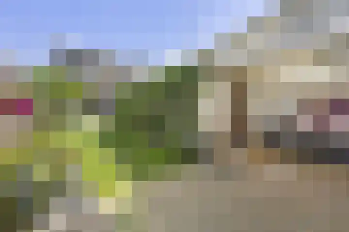 Ervenweg 9 Maasbracht thumbnail 5