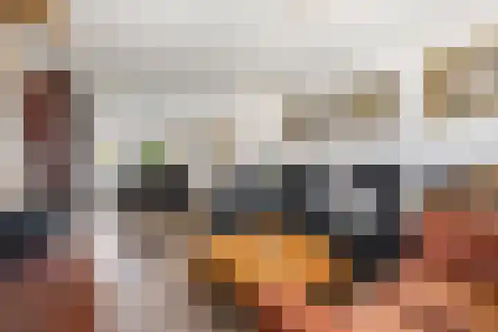 Ervenweg 9 Maasbracht thumbnail 9