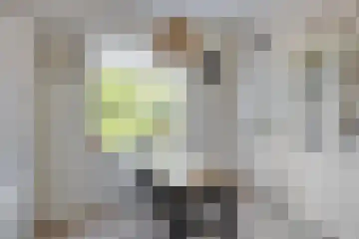 Erveweg 7 Welsum thumbnail 10