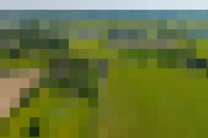 Erveweg 7 Welsum foto 2