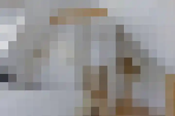 Erveweg 7 Welsum thumbnail 23
