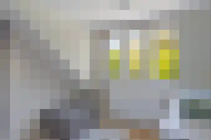 Erveweg 7 Welsum thumbnail 25