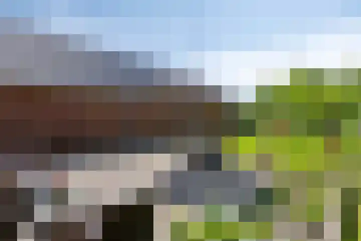 Erveweg 7 Welsum thumbnail 29