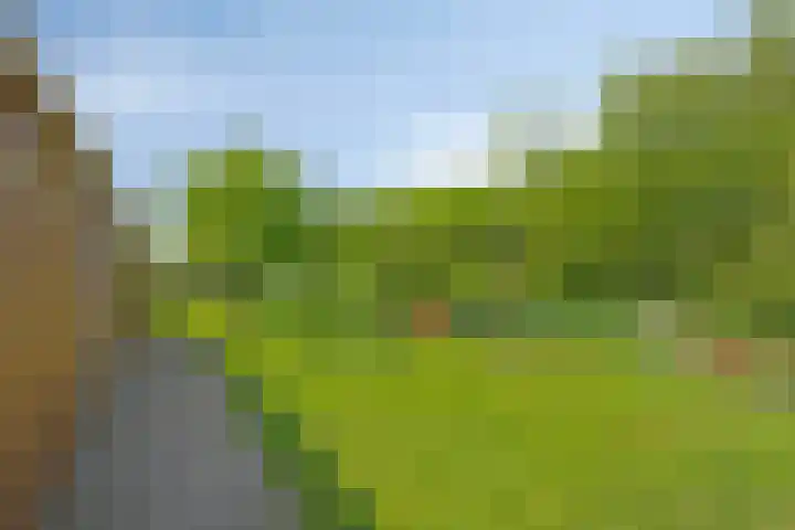 Erveweg 7 Welsum thumbnail 30