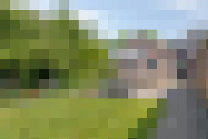 Erveweg 7 Welsum thumbnail 31