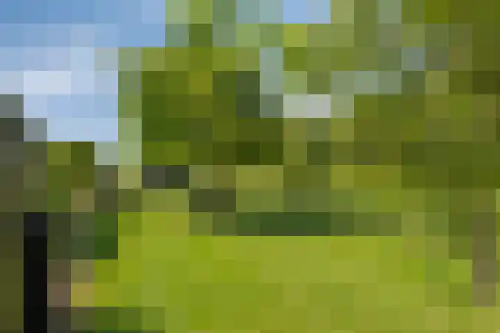 Erveweg 7 Welsum thumbnail 32