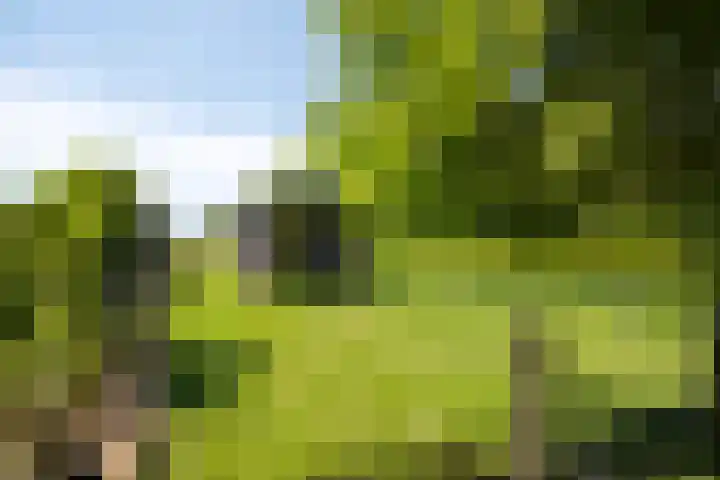 Erveweg 7 Welsum thumbnail 33