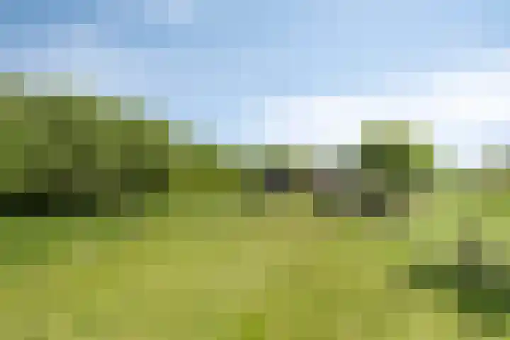 Erveweg 7 Welsum thumbnail 36