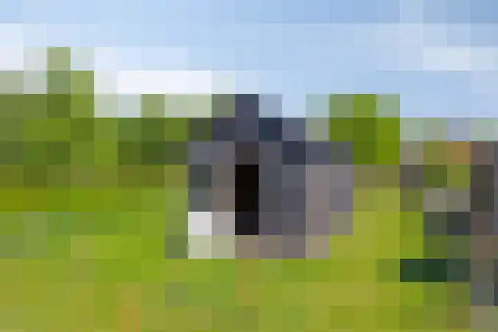 Erveweg 7 Welsum thumbnail 37