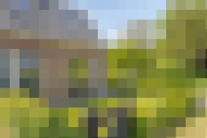 Erveweg 7 Welsum thumbnail 41