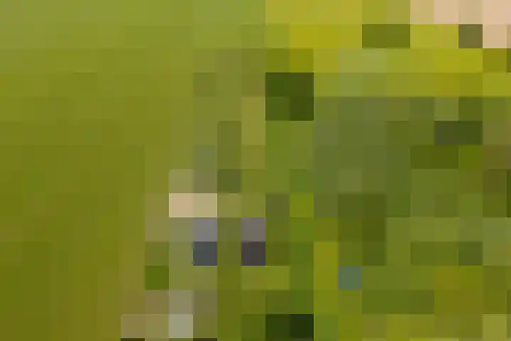 Erveweg 7 Welsum thumbnail 44