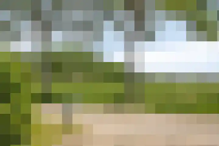 Erveweg 7 Welsum thumbnail 45