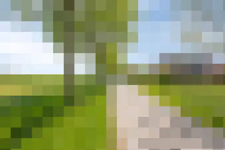 Erveweg 7 Welsum thumbnail 46