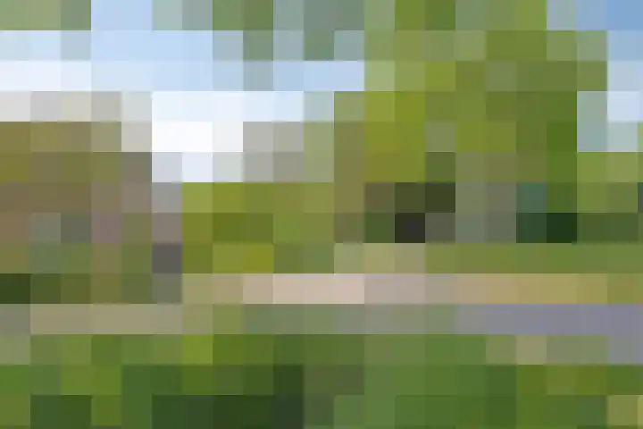 Erveweg 7 Welsum thumbnail 47