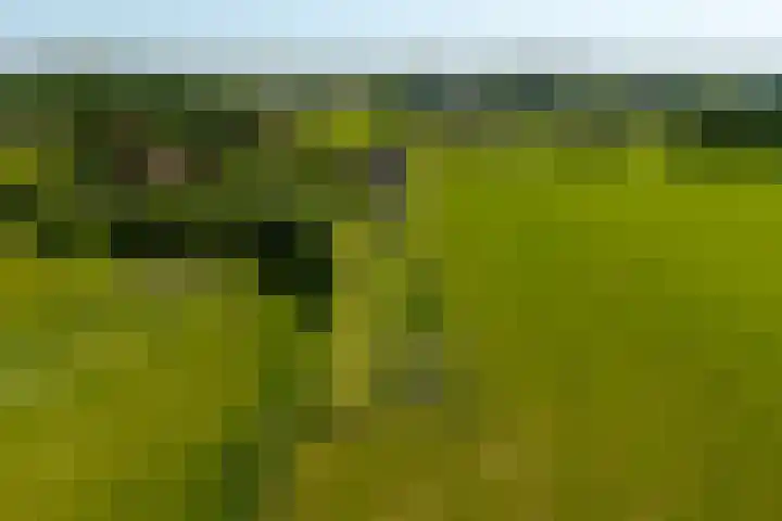 Erveweg 7 Welsum thumbnail 48