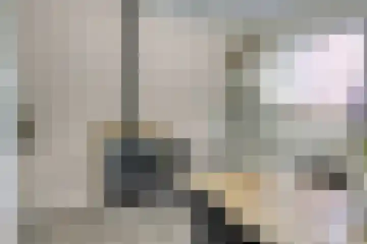 Erveweg 7 Welsum thumbnail 8