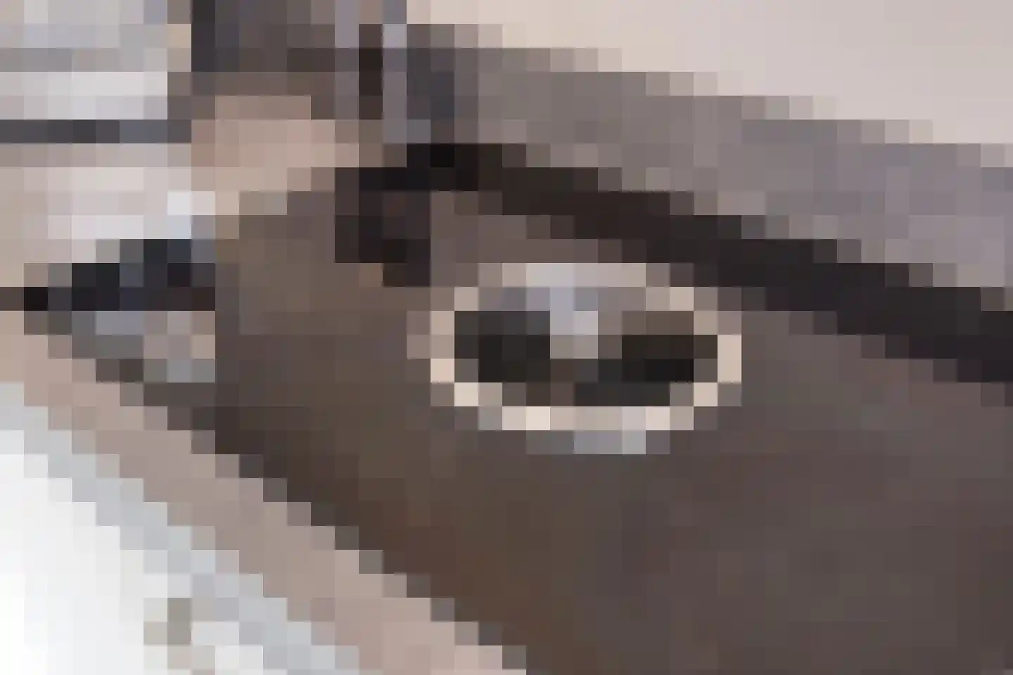Es 33 Leek thumbnail 12
