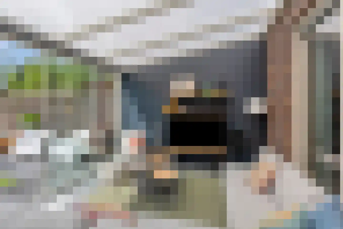 Es 33 Leek thumbnail 13