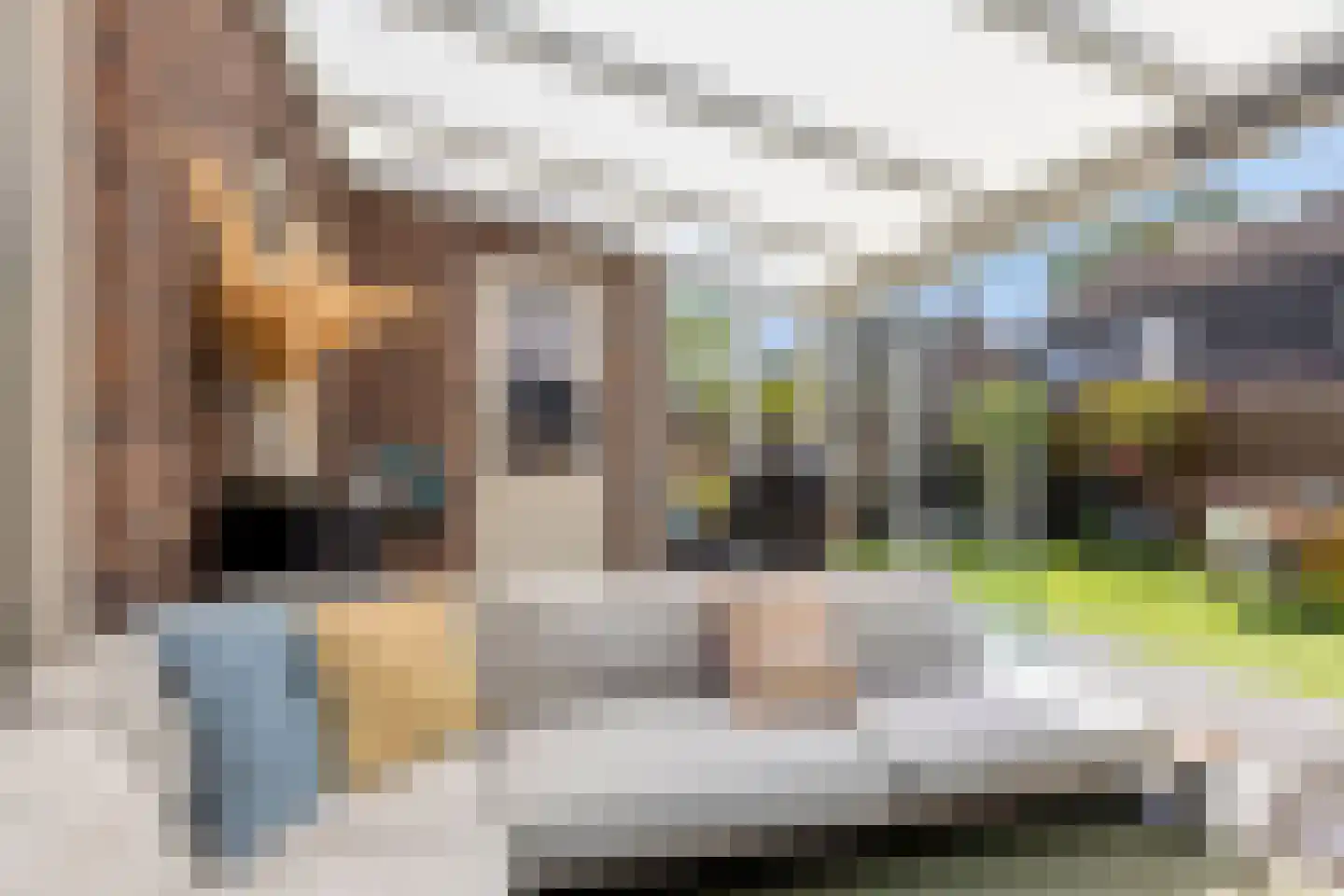 Es 33 Leek thumbnail 14