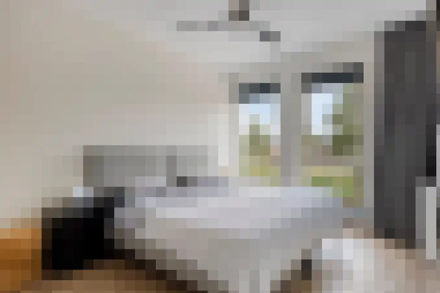 Es 33 Leek thumbnail 16