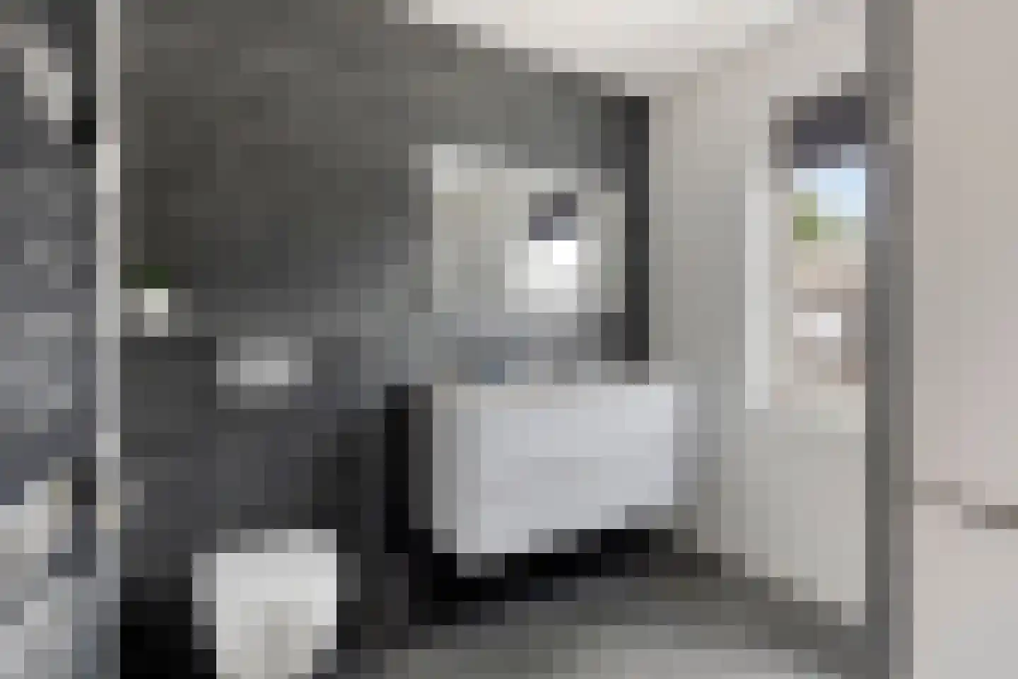Es 33 Leek thumbnail 17