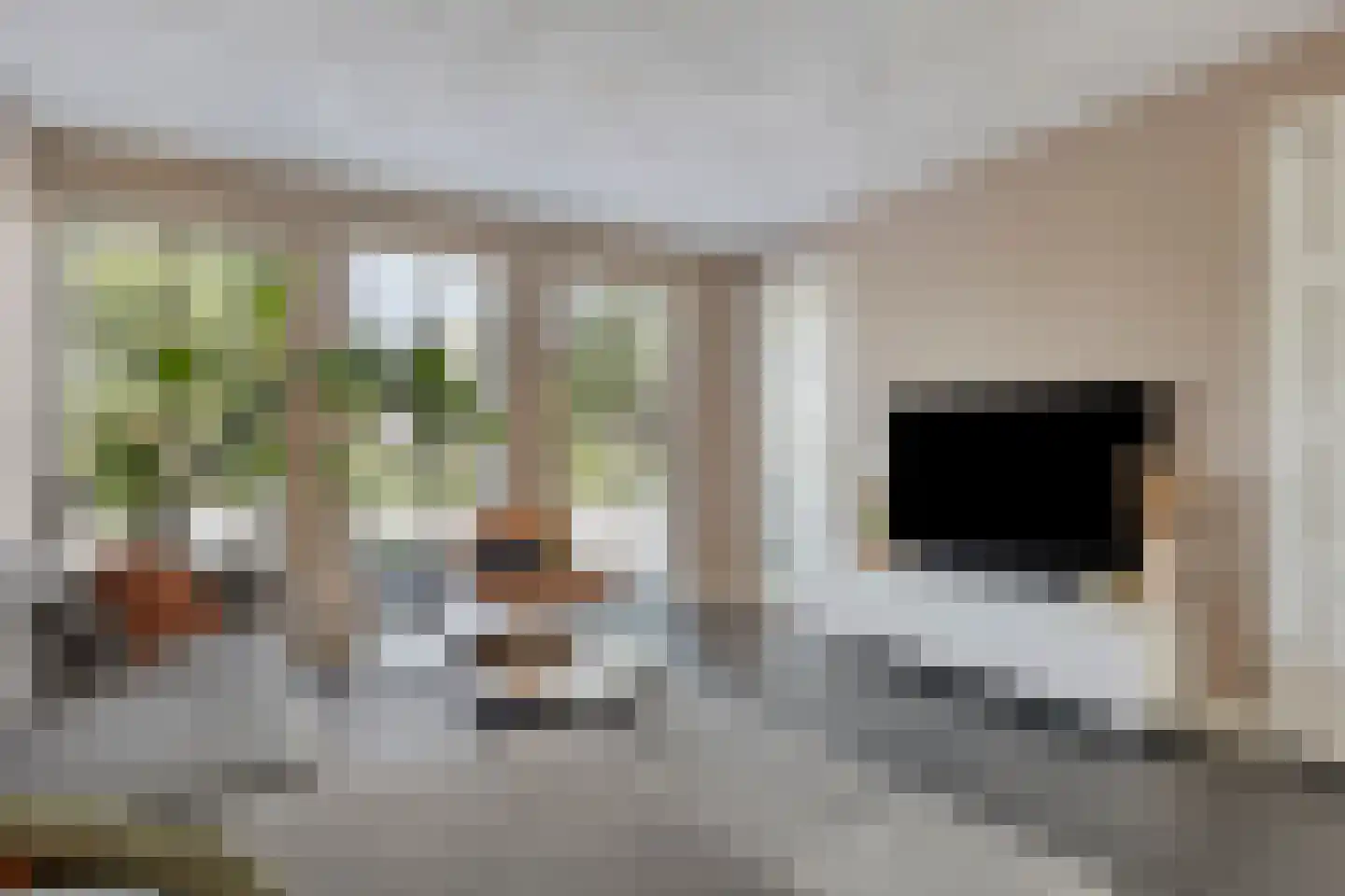 Es 33 Leek foto 2