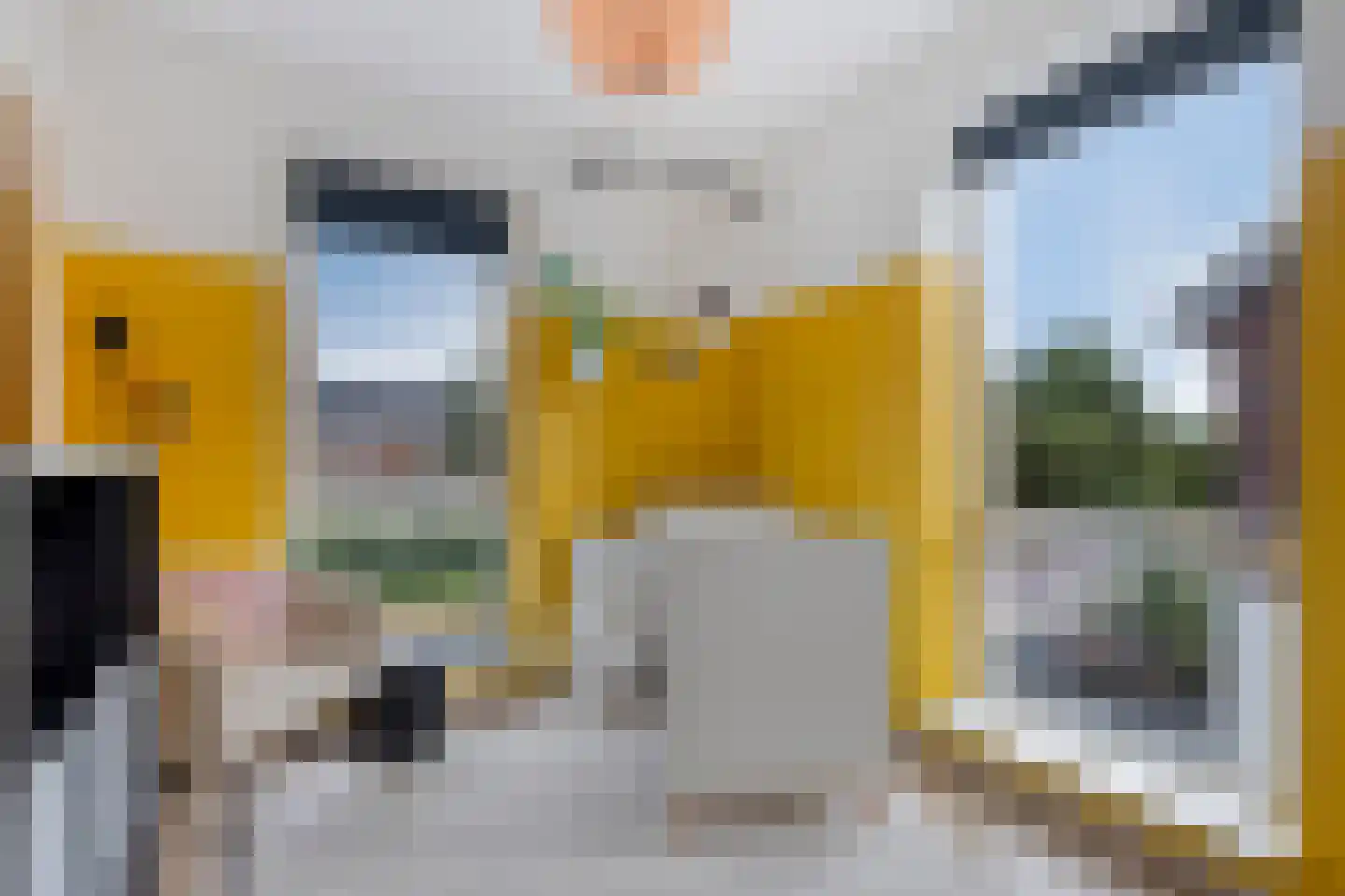 Es 33 Leek thumbnail 20