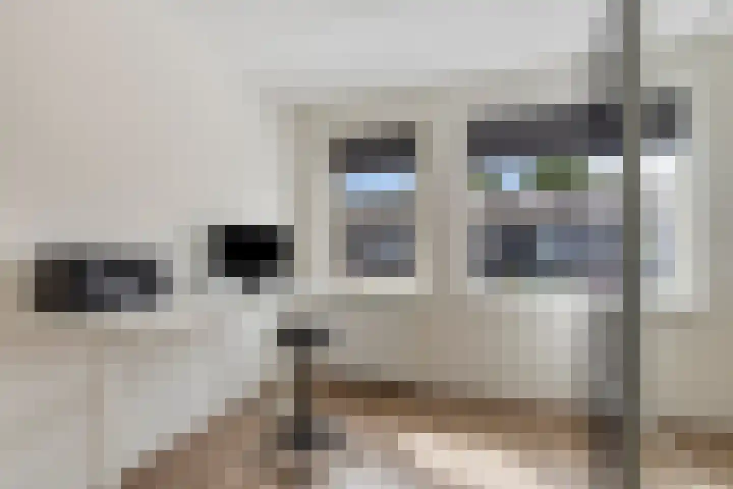 Es 33 Leek thumbnail 22