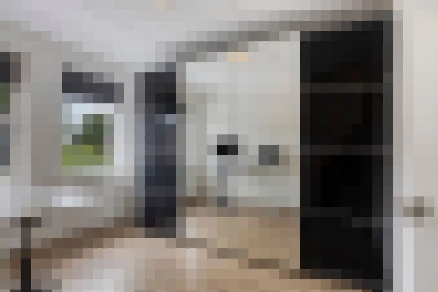 Es 33 Leek thumbnail 23