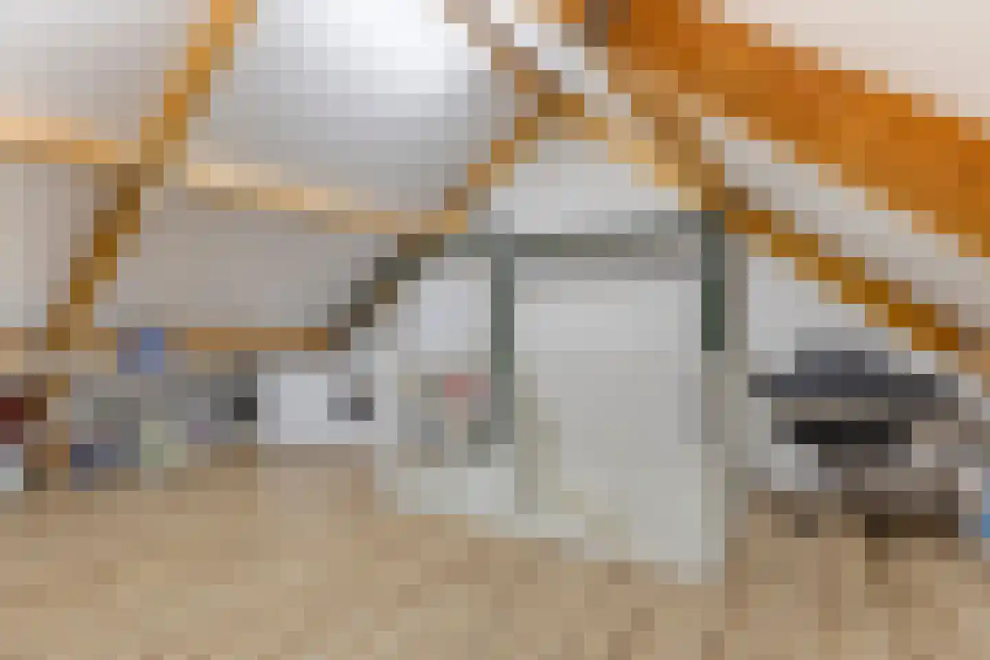 Es 33 Leek thumbnail 25