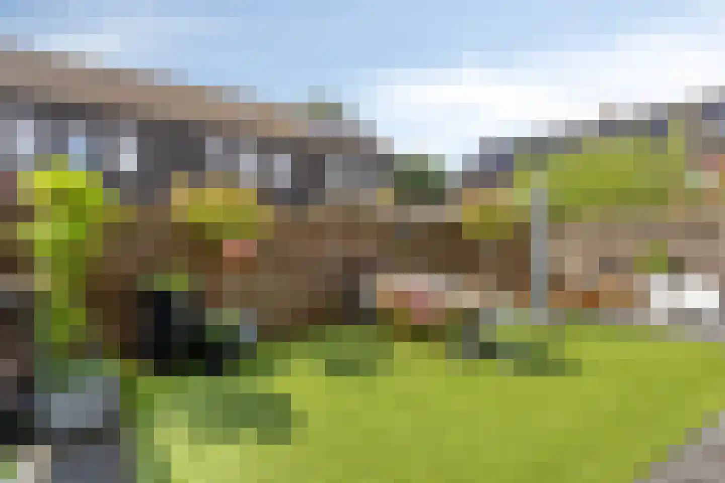 Es 33 Leek thumbnail 27