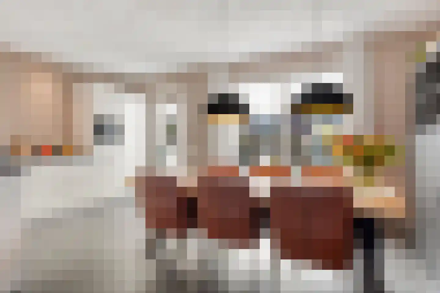 Es 33 Leek foto 3