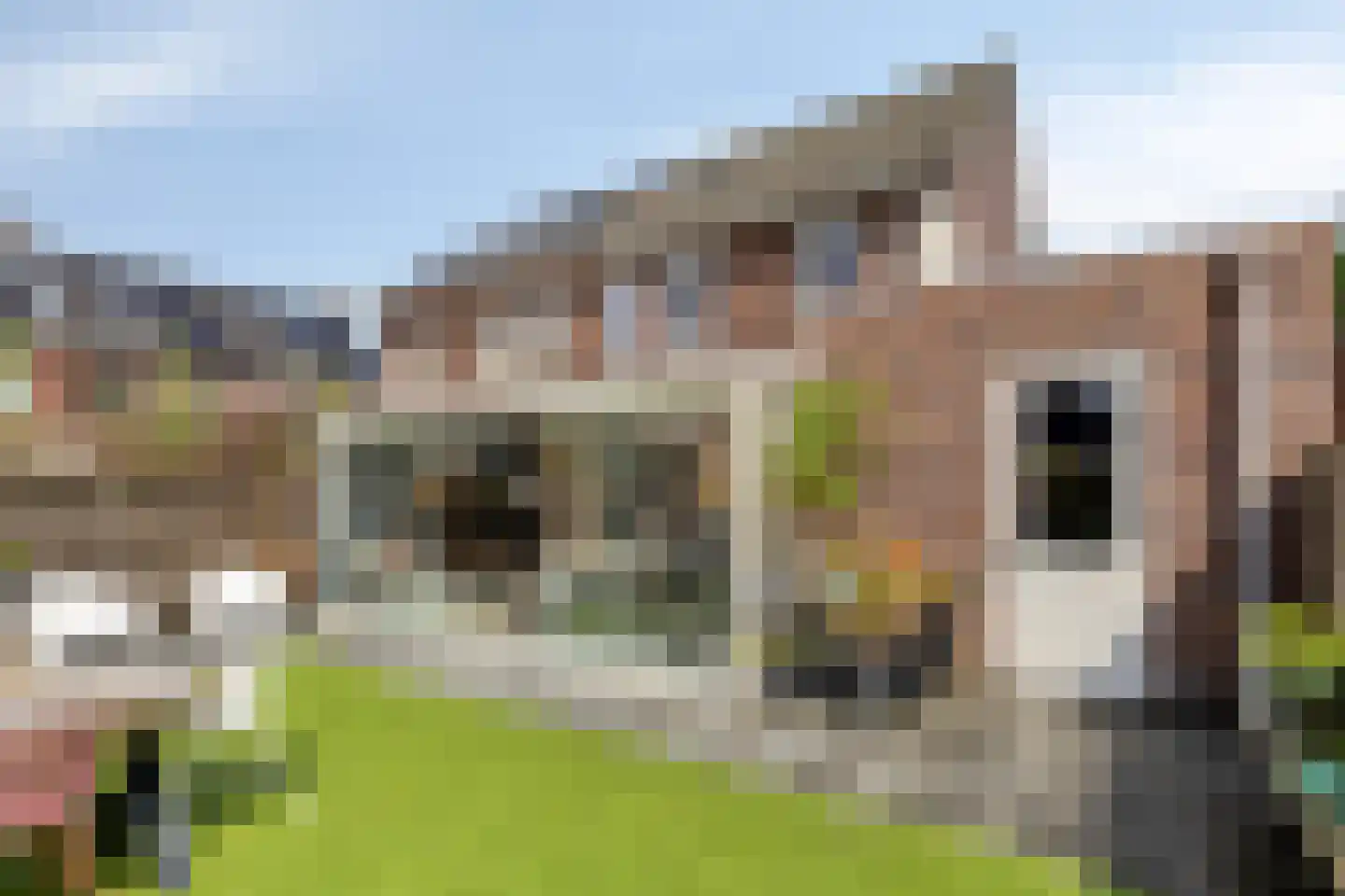 Es 33 Leek thumbnail 30